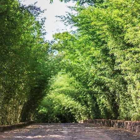 Pousada Bosque Do Lapao Lencois Zewnętrze zdjęcie