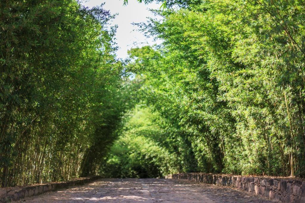 Pousada Bosque Do Lapao Lencois Zewnętrze zdjęcie